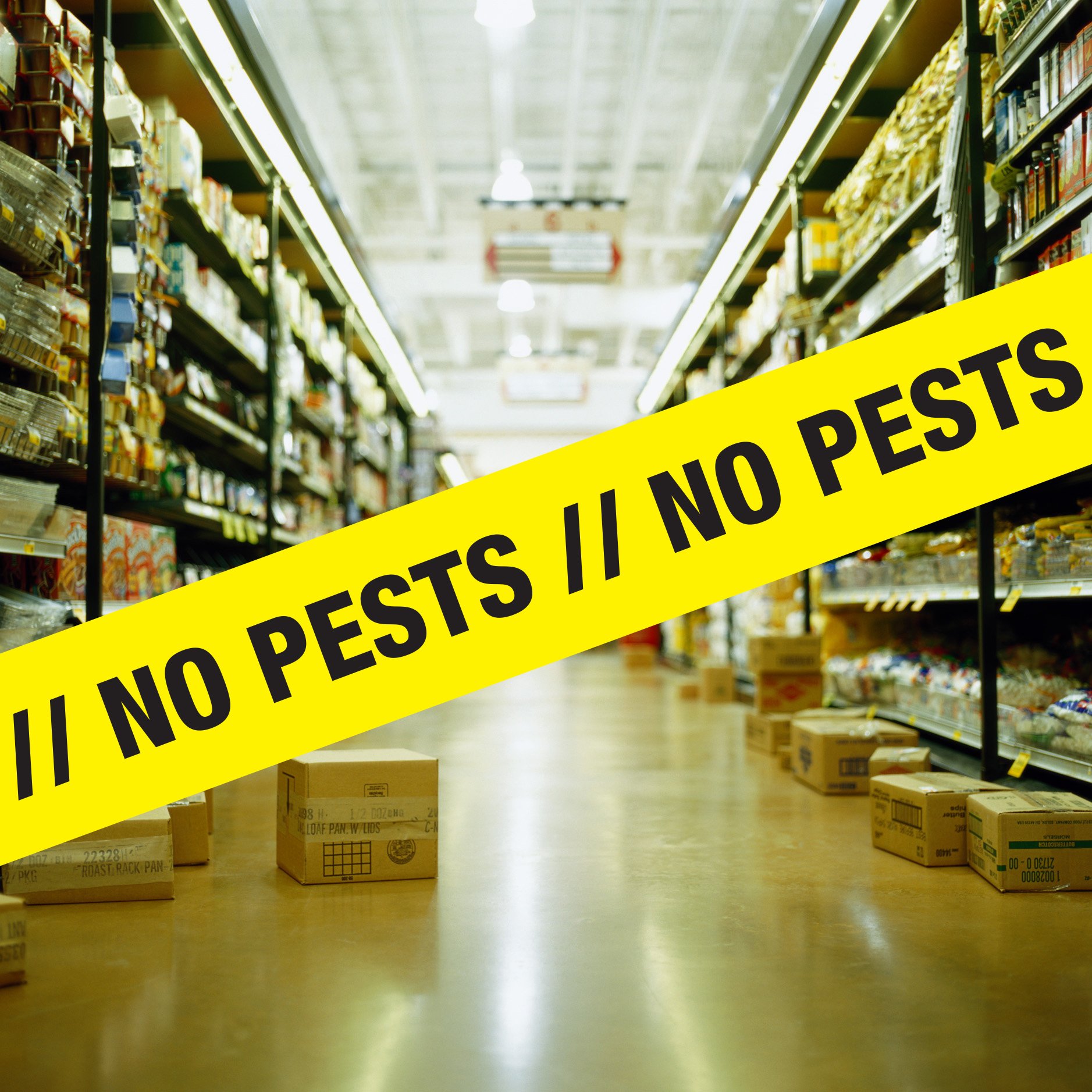 RJMPest-Store-NoPests-1 RJMPest-Store-NoPests-1