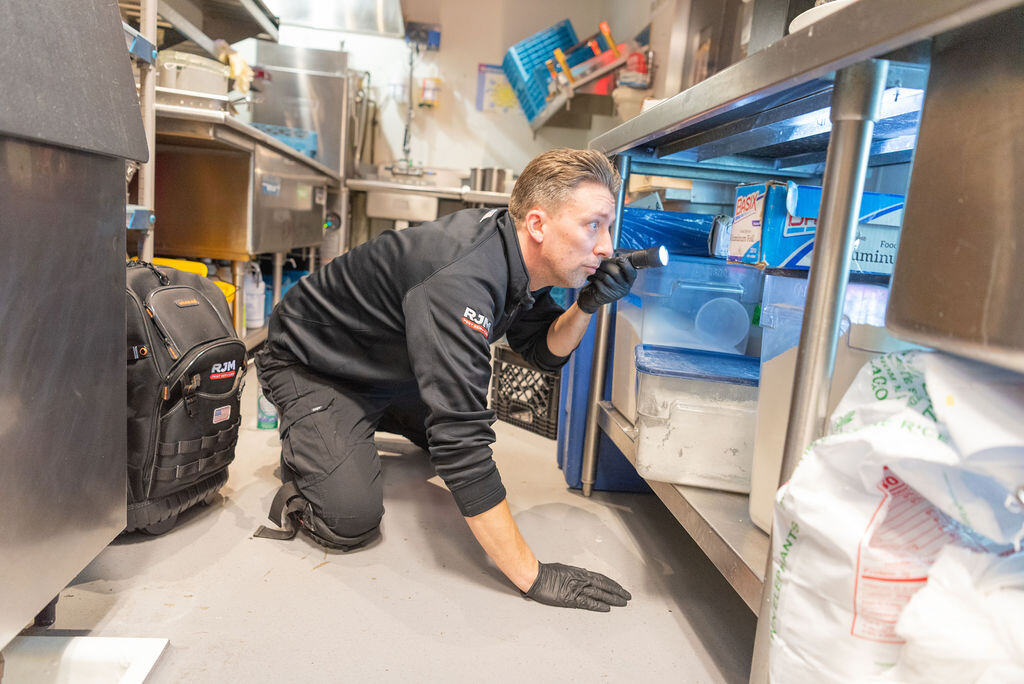 kitchen pest control inspection
