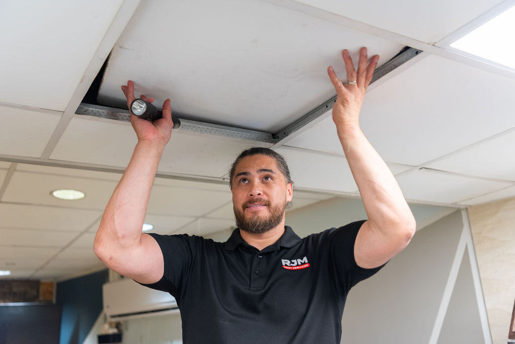 rjm pest services