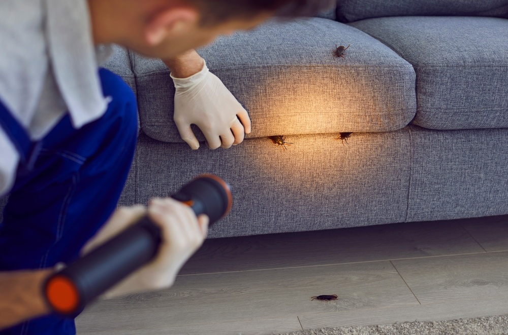pest control inspection